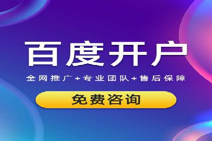 SEM推广代运营公司：实战案例解析